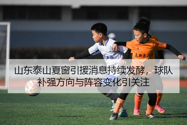 img_1781405763913_76_1_343.jpg