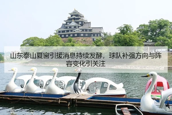 山东泰山夏窗引援消息持续发酵，球队补强方向与阵容变化引关注